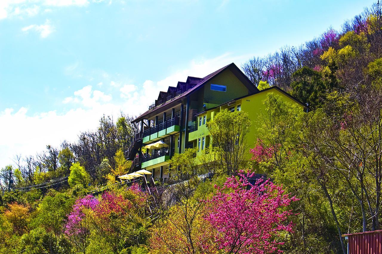 Sunnydale B&B Renai Eksteriør bilde